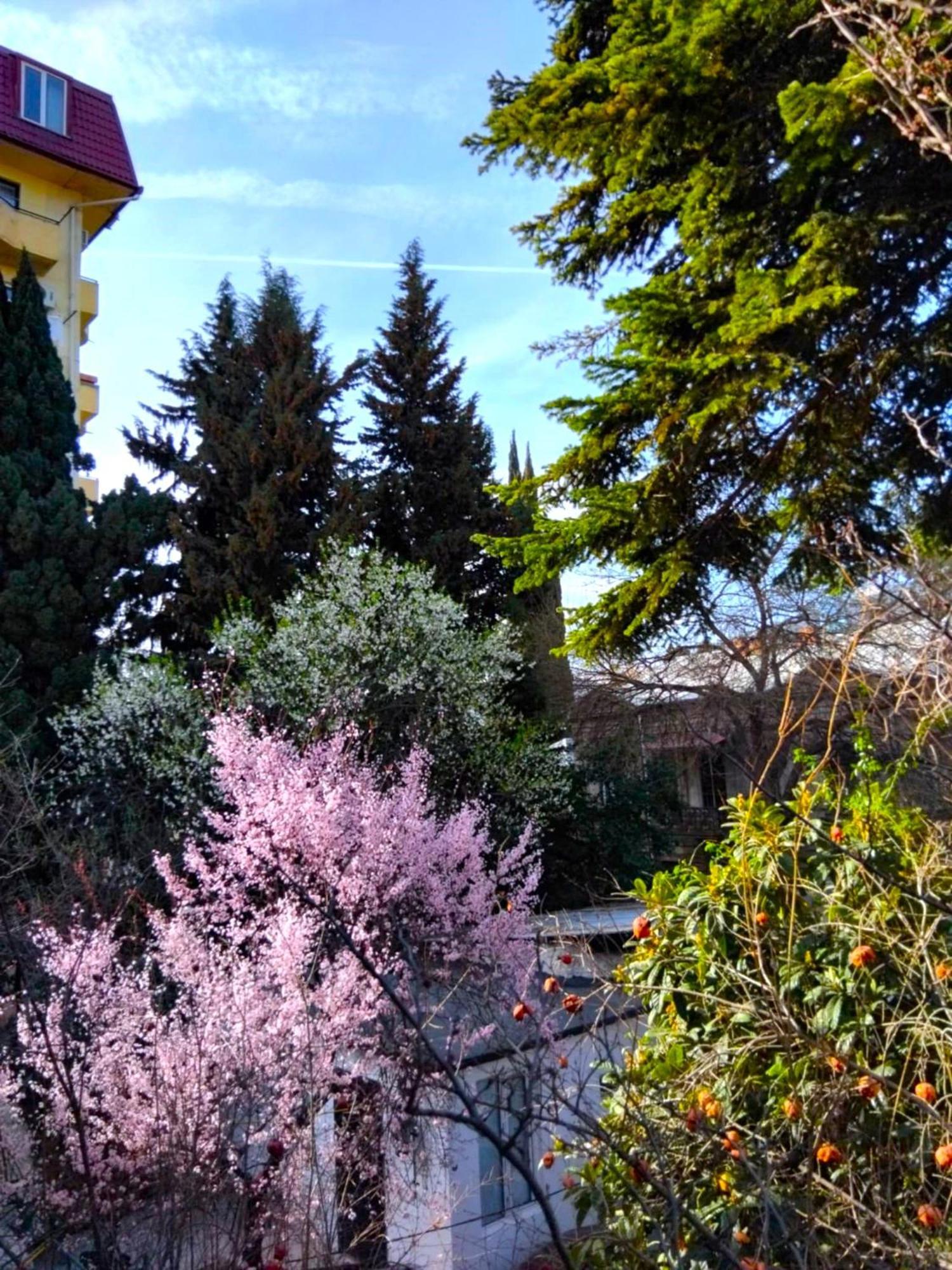 Space Homestay Tbilisi