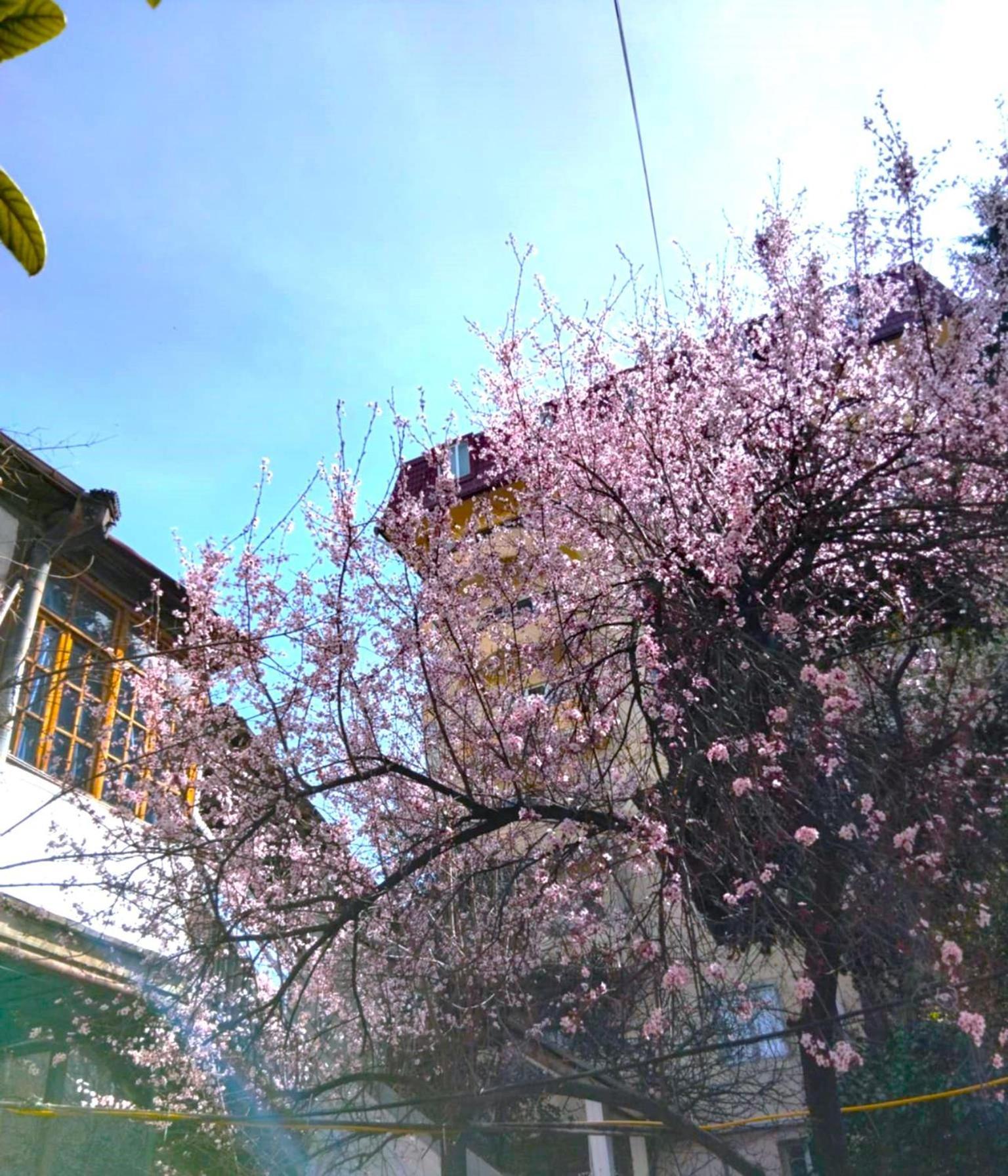 Homestay Space