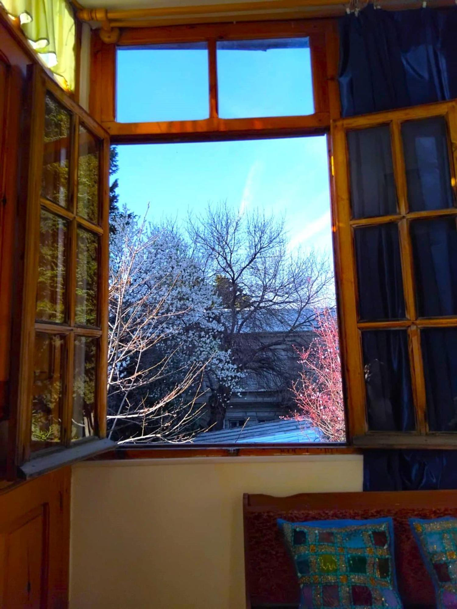 Homestay Space Tbilisi